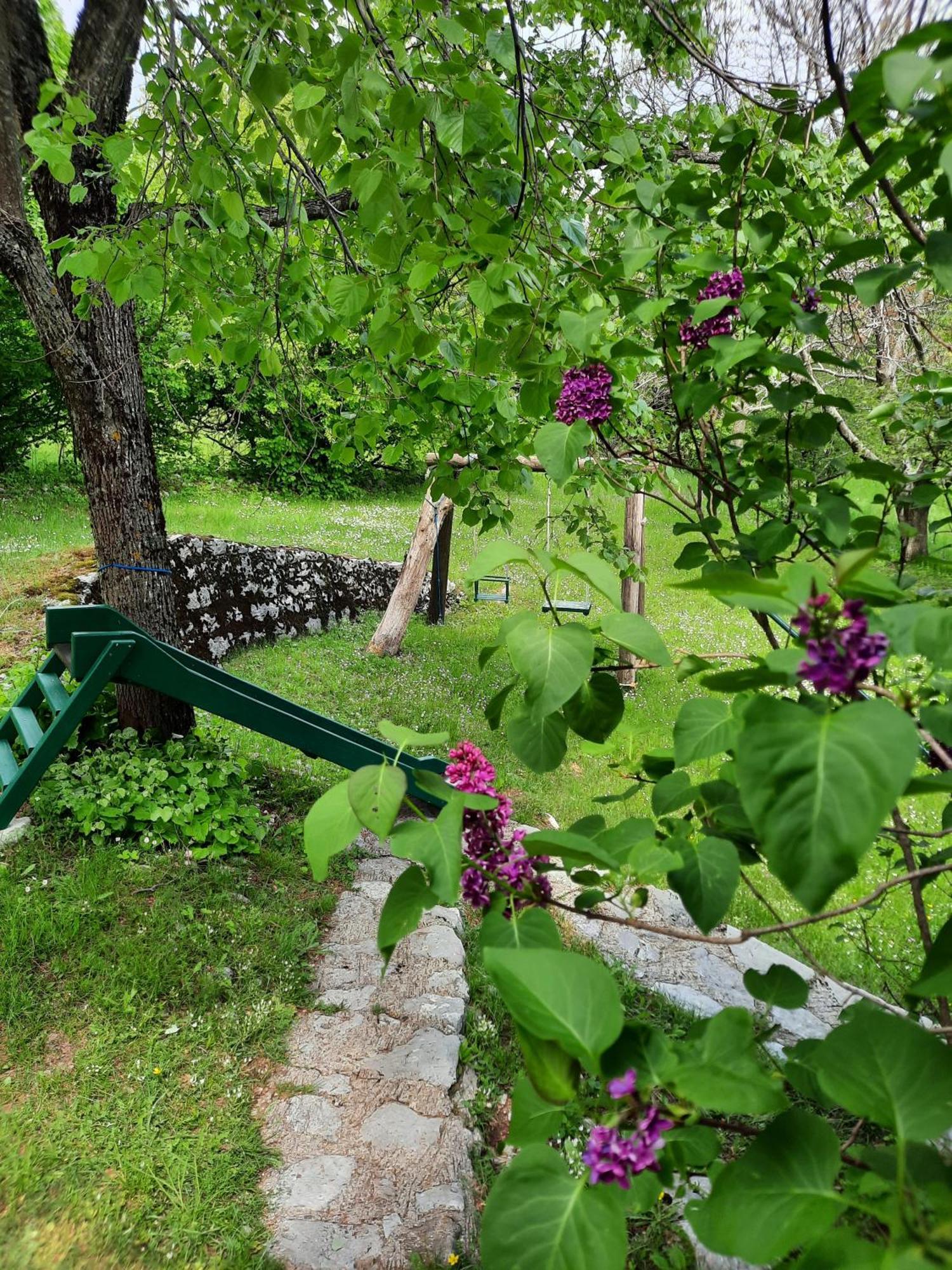 Lovcen4Me Villa Cetinje Eksteriør billede